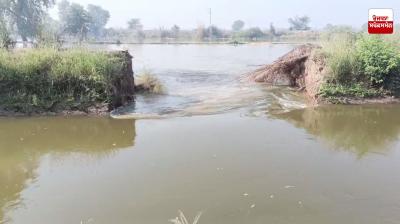 ਪੰਜਾਵਾ ਰਜਬਾਹੇ 'ਚ ਪਿਆ ਪਾੜ, 100 ਏਕੜ ਤੋਂ ਵੱਧ ਰਕਬੇ ’ਚ ਫੈਲਿਆ ਪਾਣੀ 