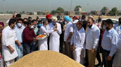  Rana Sodhi inaugurated government procurement of paddy