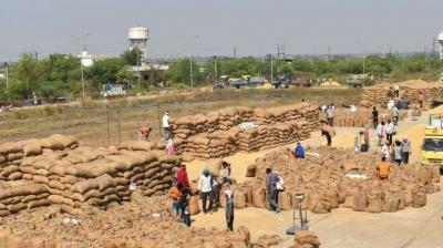 PUNJAB CROSSES 185 LMT MARK OF PADDY ARRIVAL