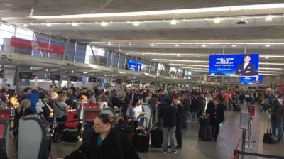 Afghani flew to Sydney