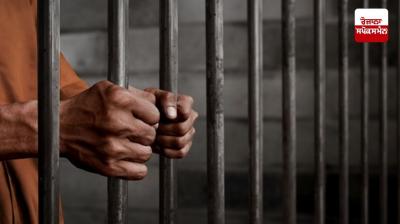 Two Indian-origin brothers sentenced for selling fake medicines in US