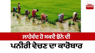 The business of selling paddy seedlings can be profitable Farming News