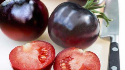 Black tomato