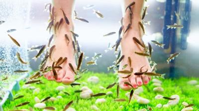Fish Pedicure