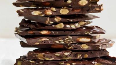 Chocolate Bark With Fruit and Cashews