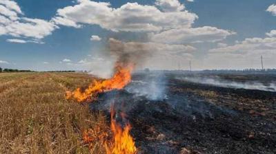 stubble burning