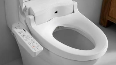 Smart Toilet