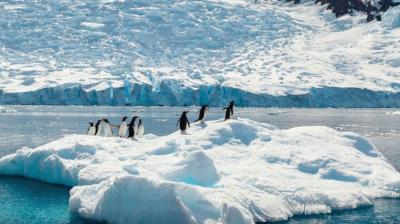 Antarctica earthquake