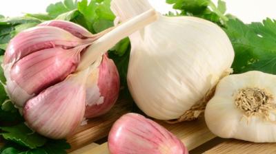 Garlic Benefits