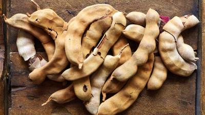Tamarind 