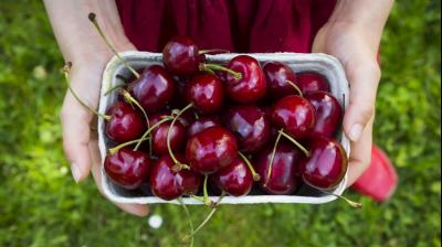 Cherries