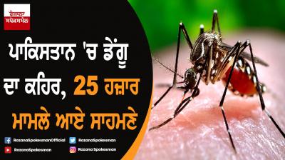 Over 25,000 dengue cases reported this year