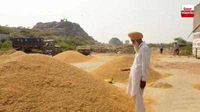 Paddy arrival in Punjab mandi accelerates