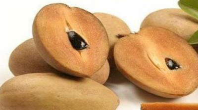 sapota health benefits