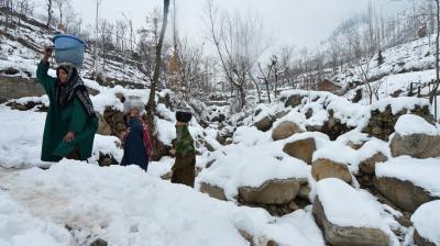 Kashmir Cold