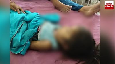 Girl dies due to fighting bees Hoshiarpur News