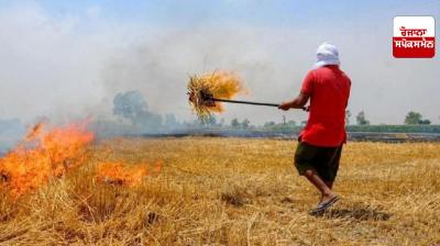 Haryana stubble burning News