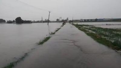 Flood alert in Gurdaspur