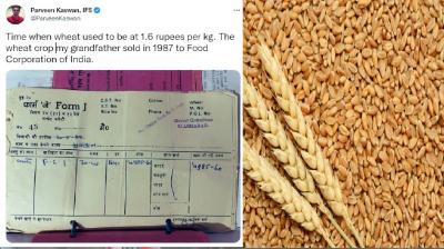  In 1987, one kg of wheat was available for just a few bucks, IFS officer shares years-old bill