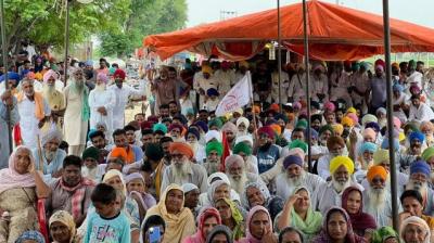 zira alcohol factory