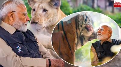 PM Narendra Modi inaugurated the Vantara Wildlife Center in Gujarat News