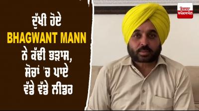 Social Media Aam Aadmi Party Punjab Bhagwant Mann