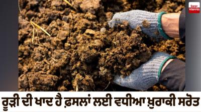 Manure is a good source of nutrients for crops Farming News