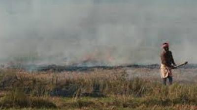 Five years in jail, Rs 1 crore fine for causing pollution, says Centre’s new ordinance