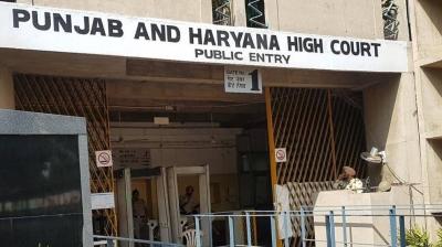 punjab and haryana high court