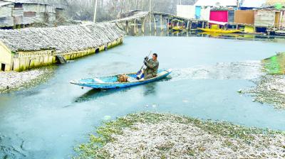 no relief from the cold wave yet, the temperature falls further