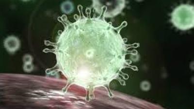 Corona Virus