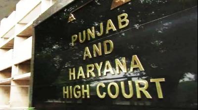 punjab and haryana high court