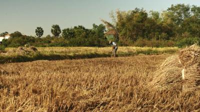 Bhikhiwind government farmers