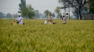 The weather department can officially announce the arrival of monsoon in April