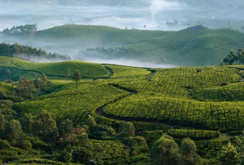 Munnar