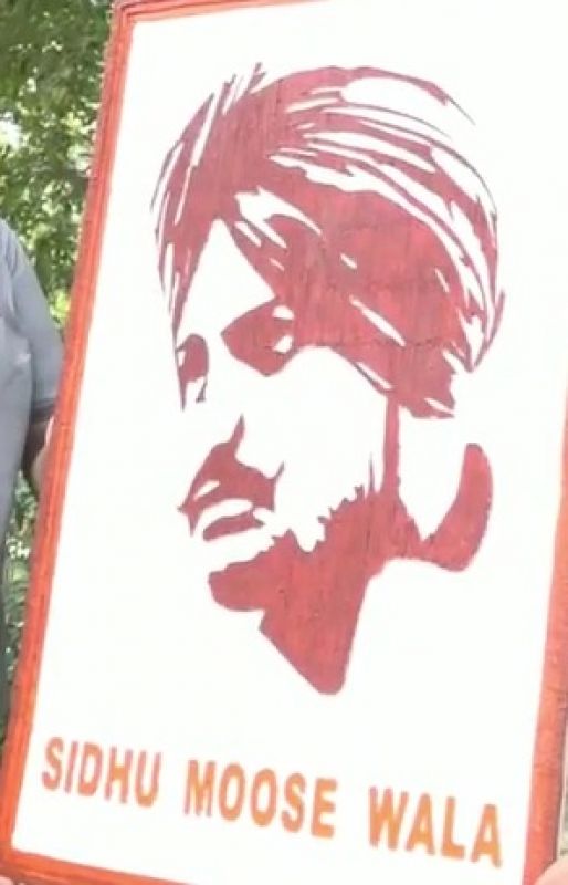 artist baljinder singh made sidhu moosewala's picture with toothpics