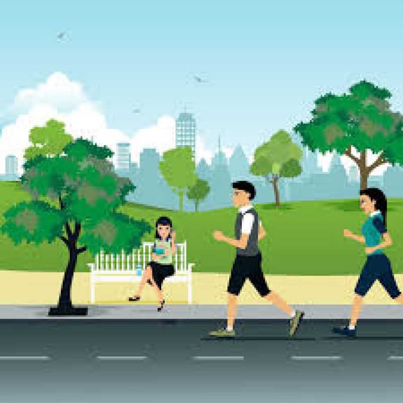 Trees painted with colours