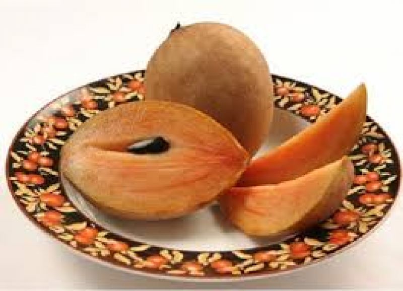 sapota health benefits