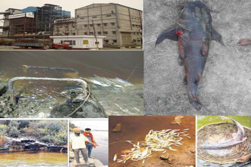 Chadha sugar mill under ED scanner