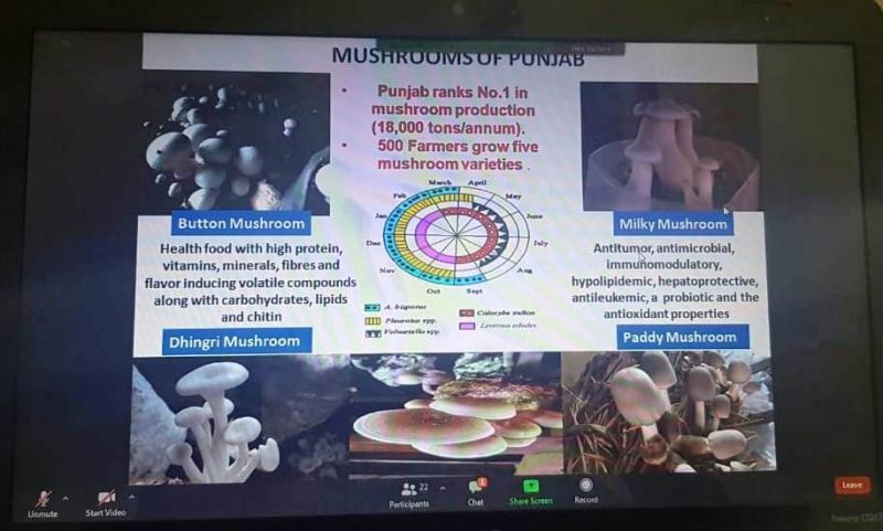 Agricultural University conducts online training course on mushroom production