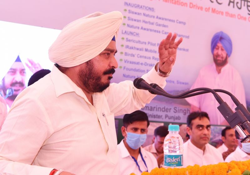 Dharamsot launches slew of projects on 71st Van Mahotsav