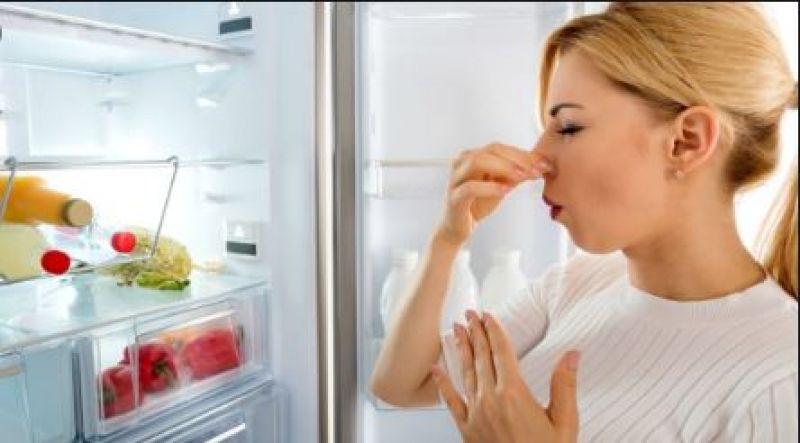 Fridge Smell