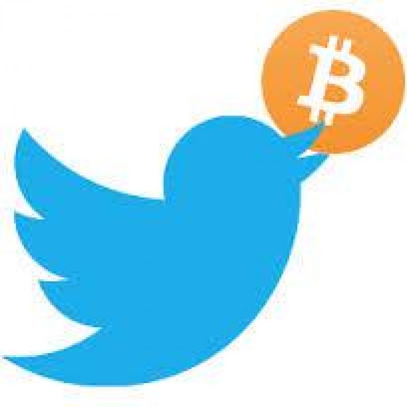 bitcoin twitter