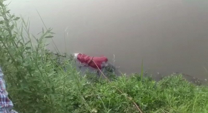 IELTS student jumps into canal, dies