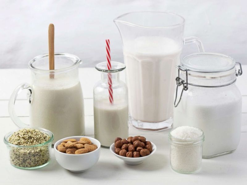 plants based milk does not provide full nutrition to young children