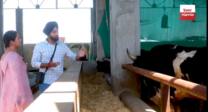 Kamdhenu Gau Dhaam Trust Amritsar