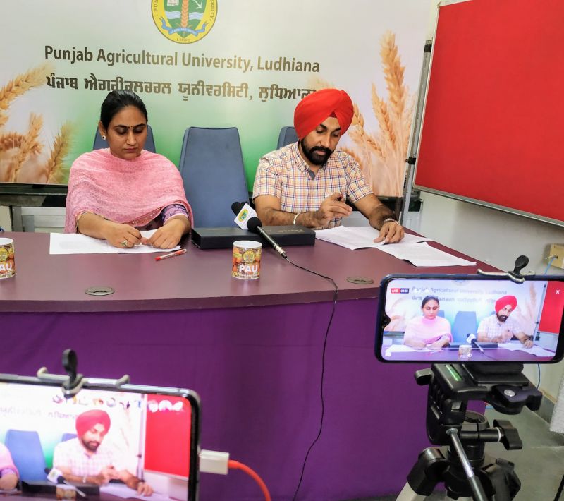 Samrala Farmers Share Their Experiences During PAU Live Programme 