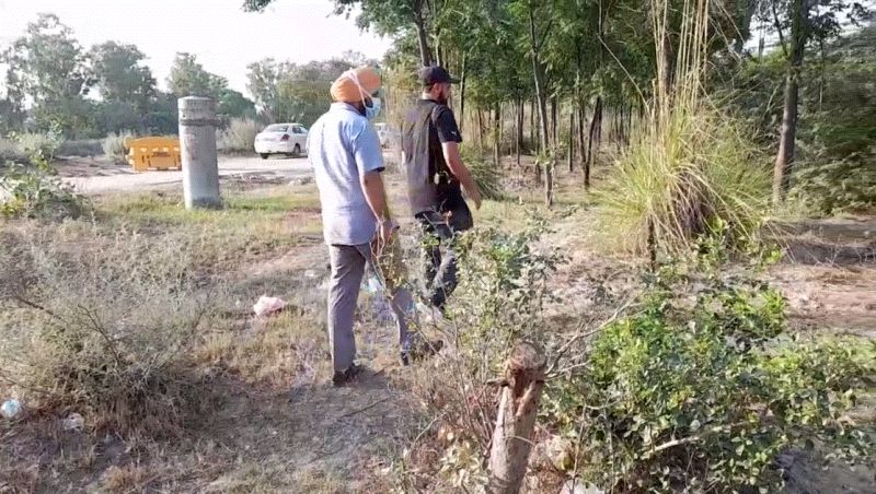 Forest department and tree keepers face to face over tree care