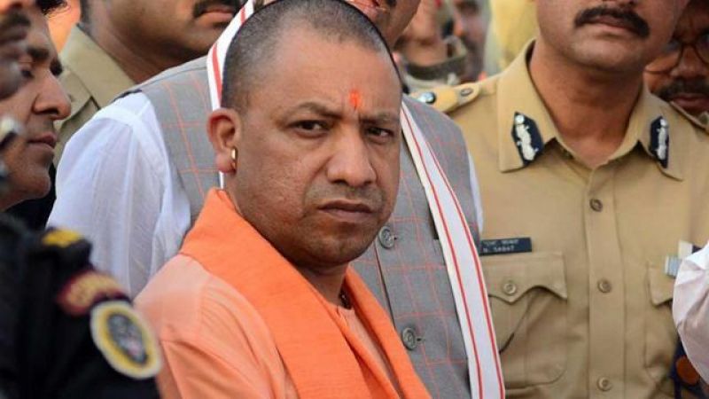 Yogi CM