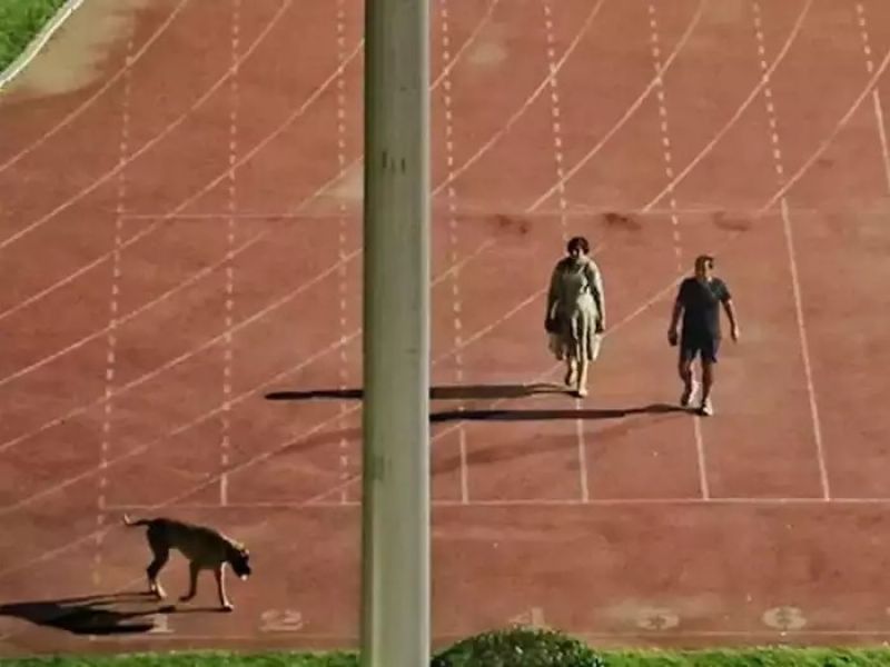 IAS couple transferred